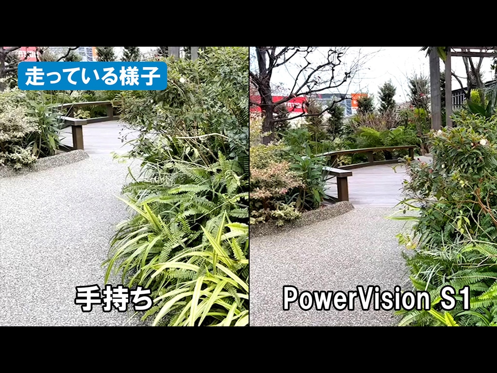 【動画】手持ちと比較してみた