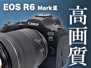 キヤノン ミラーレス一眼カメラ EOS R6 Mark �V