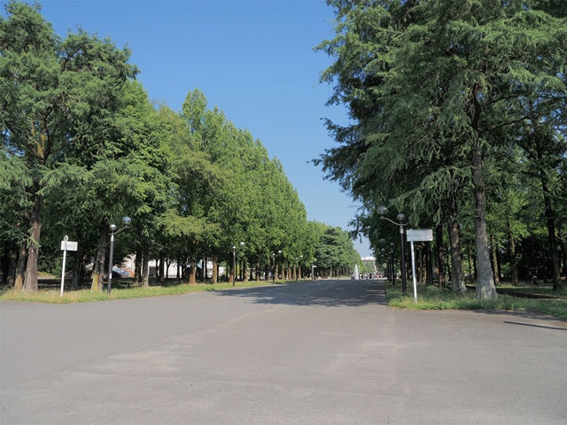 HDR�B�e