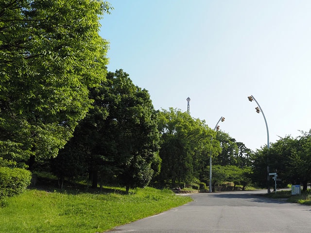 �莝���n�C���]�V���b�g