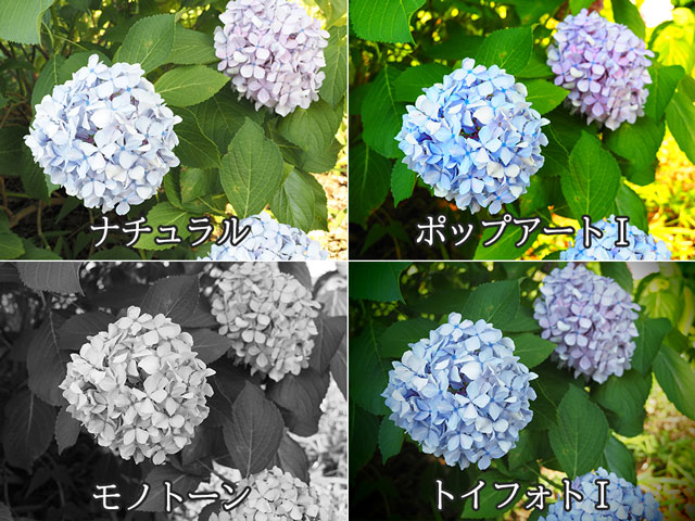 �t�B���^�[���