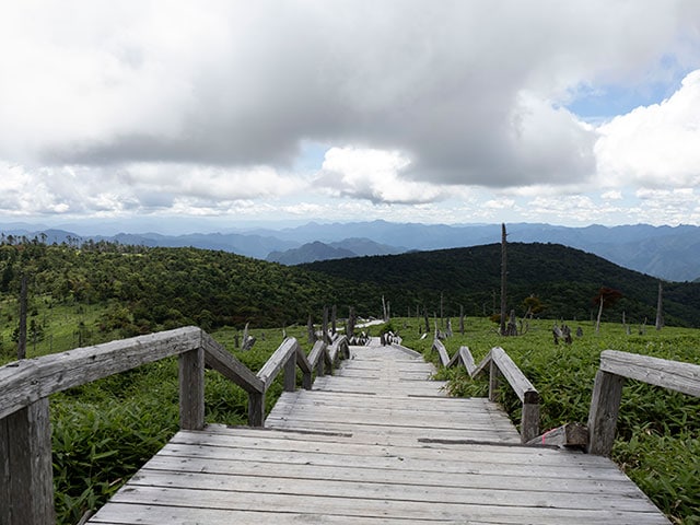 ED 8-25mm F4.0 PRO/ �i��Ff4 / �V���b�^�[���x�F1/800 / ISO�F100 / �I�o�␳�F0