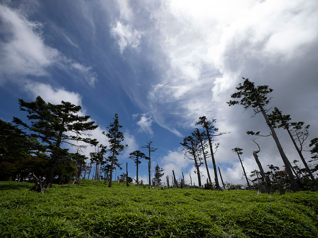 �����Y�FED 8-25mm F4.0 PRO / �i��Ff4 / �V���b�^�[���x�F1/1600 / ISO�F100 /  �I�o�␳�F-0.3