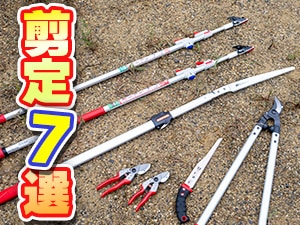�A���X�R�[�|���[�V�����@���蓹��7�I