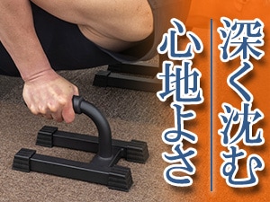 �A�f�B�_�X �v���~�A���v�b�V���A�b�v�o�[