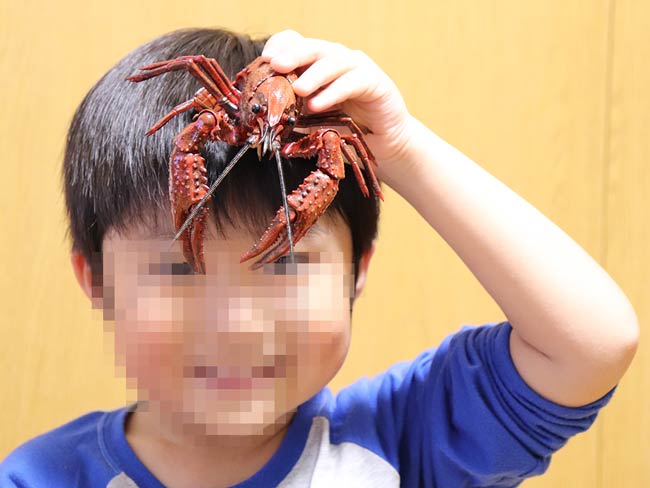 外に出られずストレスで凶暴化した子供もにっこり