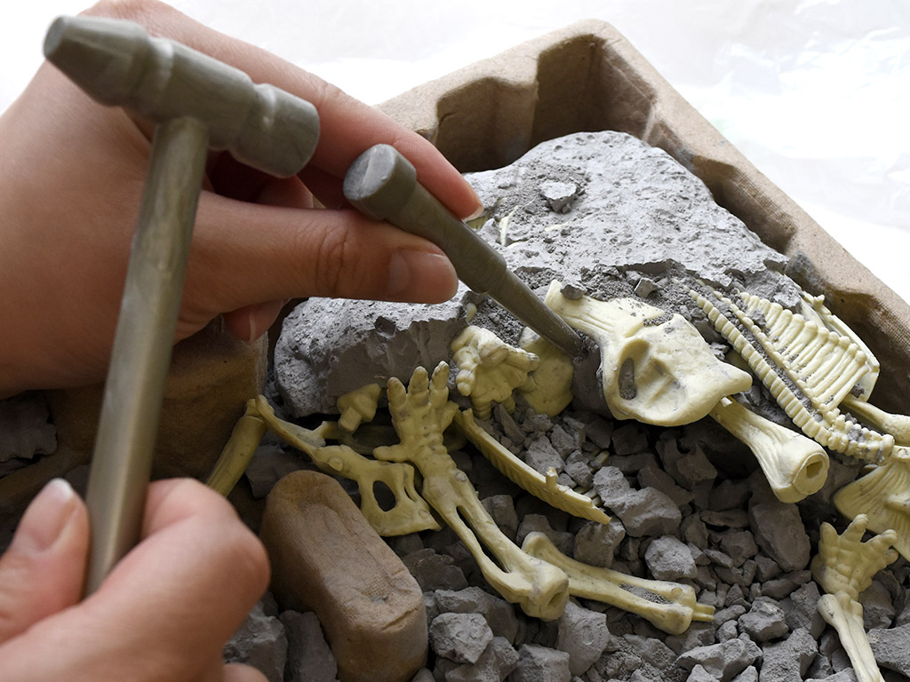 気分は考古学者! 『モノクローム 恐竜化石発掘』で全長30cmの 気分は考古学者! 『モノクローム 恐竜化石発掘』で全長30cmの