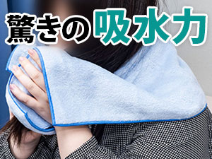 ��(Hayashi) �}�C�N���t�@�C�o�[ �V�F���[�J���[ �o�X�^�I��/�t�F�C�X�^�I��/�n���h�^�I��