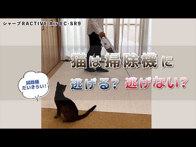 軽いだけじゃない。猫も逃げない運転音が抑えられたスティック 軽いだけじゃない。猫も逃げない運転音が抑えられたスティック
