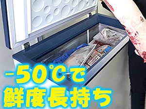 nCA[@150L ⓀɁyJz⎮ O[@JF-TMNC150A-H