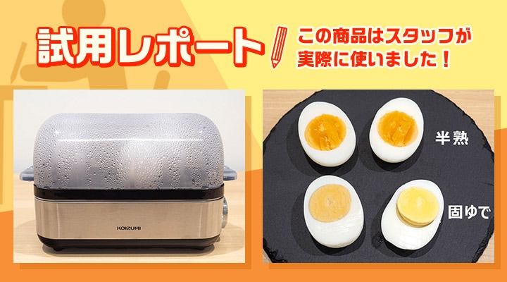 試用レポート
