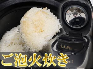 �^�C�K�[ �y�爳��IH���уW���[���������ā��y�炲�A�ΐ��� JRX-S100 KS�i5.5�������j