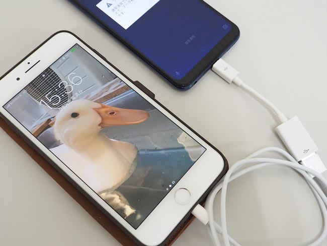 ���o�[�X�`���[�W���[�h�̗l�q�yiPhone8 Plus�z