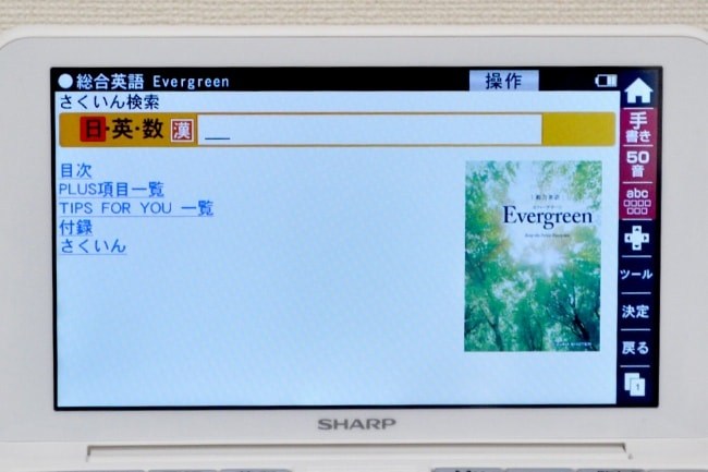 �����p��Evergreen
