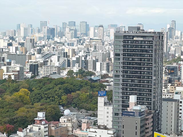 4倍ズームで撮影