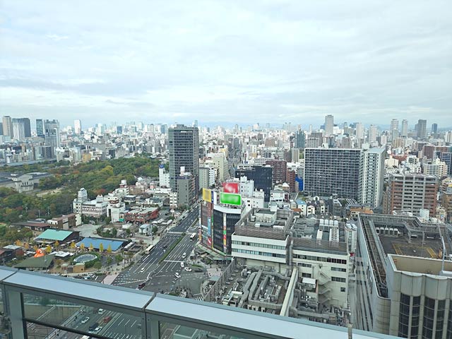 等倍で撮影