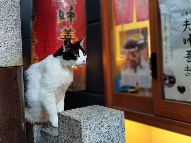 ポートレートモード