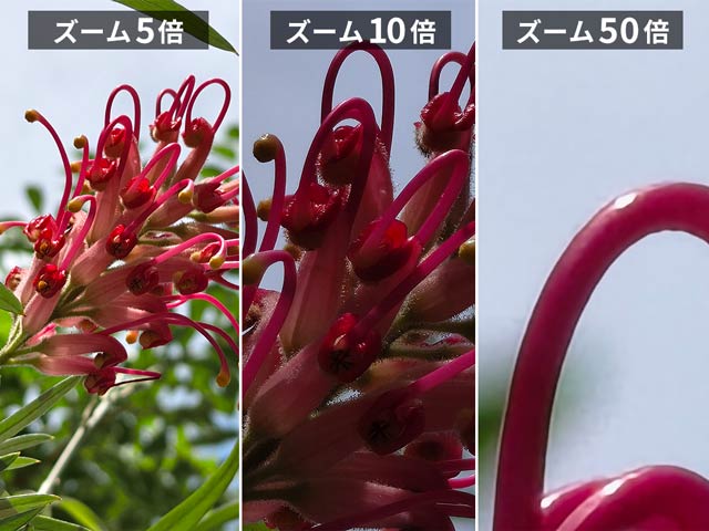 デジタルズーム。50倍でも形が残っている