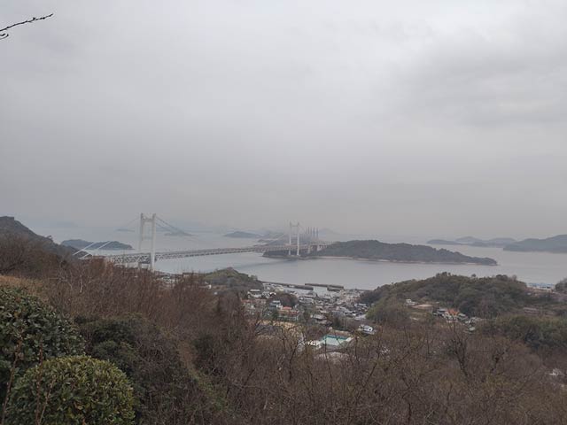 標準