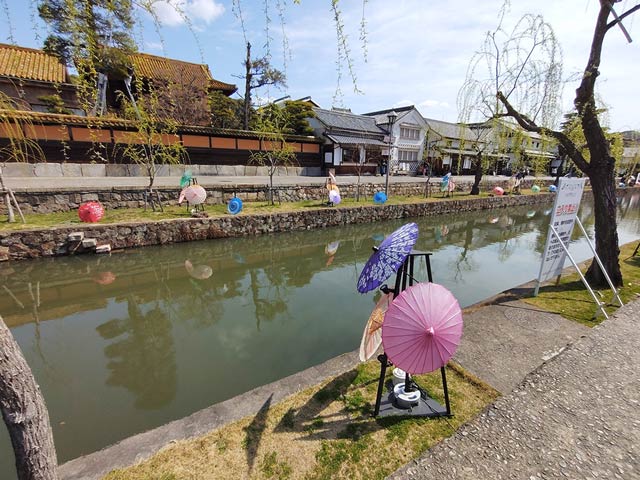 We2 Plus M06のカメラで撮影