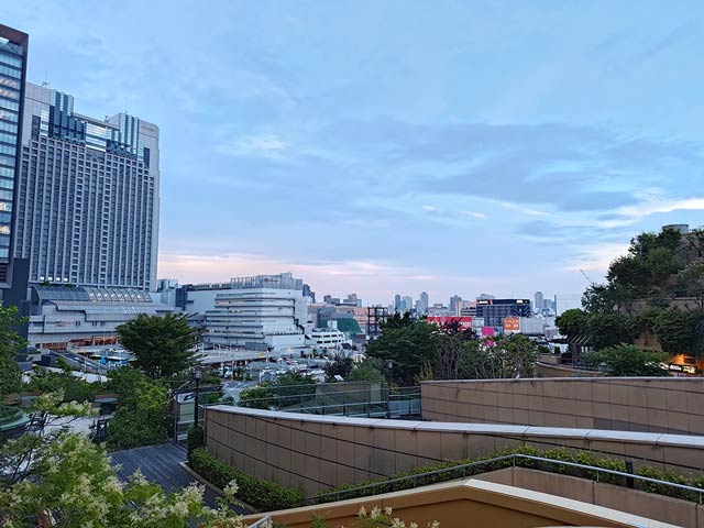 広角カメラで撮影