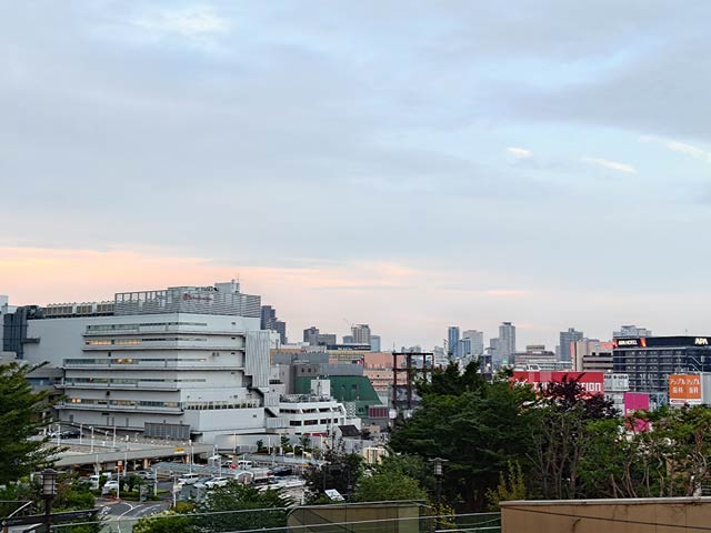 望遠カメラで撮影