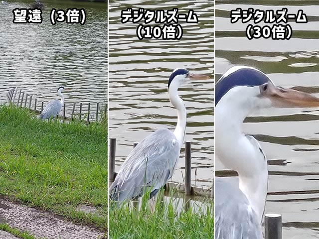 デジタルズーム10倍でも輪郭がくっきり