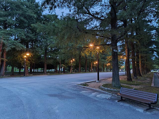 夜景モードで撮影