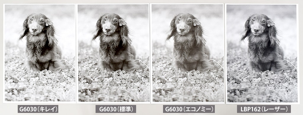 写真データ モノクロ印刷
