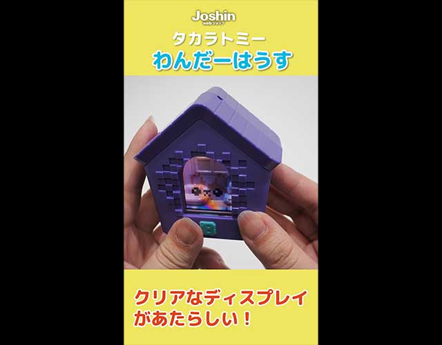 動画