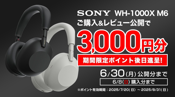 期間中に対象商品をご購入し、レビューを書き込んでいただいた方へ、3000円分の期間限定ポイントを後日進呈進呈！