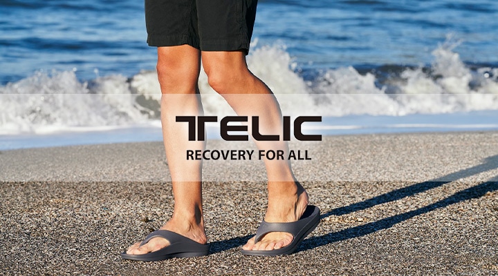 TELIC���i�Љ�@���݃y�[�W