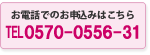 dbԍ@0570-0556-31 (L/9:00`19:00)