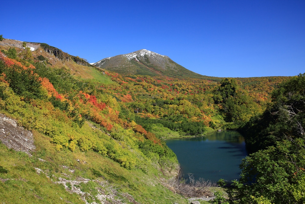 紅葉 風景全体