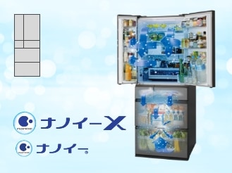 ナノイーX