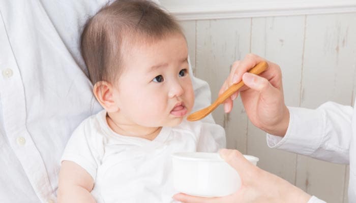静音性:一般的に静かなブレンダーはパワーが控えめ