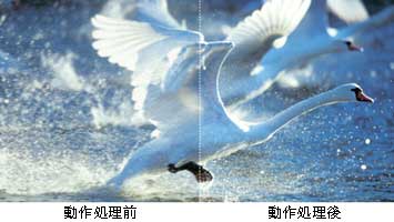 �n�f�WAI �r���[�e�BZR��