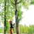 �}�L�^�b�[�d�����}�`�F���\�[ 250mm (�{�̂̂݁E�n�[�l�X�t��)�bMUA002GZ