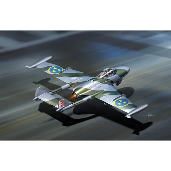 プラモデル 1/48 F-16C ブロック42 自業自得 2005年 ビッグシン