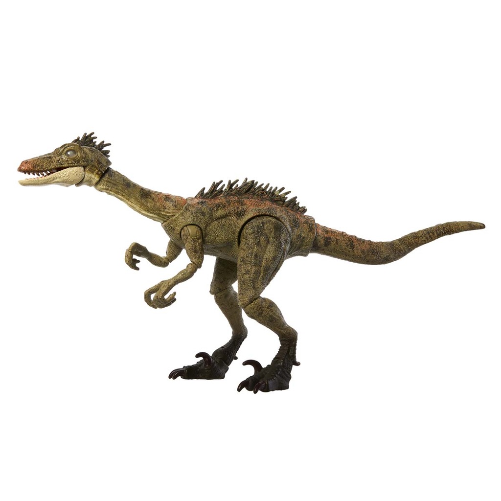 アンバーコレクション プテラノドン レア ハモンドコレクション Amazon.co.jp: マテル ジュラシックワールド(JURASSIC WORLD