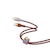 BELKIN｜BoostCharge Pro Flex USB-C to USB-C ケーブル 2m（Zootopia）｜CAB011QC2MOG-DY