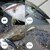 DUEL�b�n�[�h�R�A �w�r�[�~�m�[ S 90mm(9 HSTI/�X�g���C�N�C���V)�bF1189-HSTI