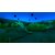 goGame�b�yPS4�zAngry Alligator ���j���j��`���bPLJM-16939 PS4 �ݸ�ذ�عް�� �����޲�޳��