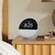 Amazon（アマゾン）｜Echo Spot（2024年発売） - スマートアラームクロック with Alexa、鮮やかなサウンド(グレーシャーホワイト)｜B0C2RZWV9B