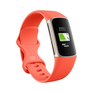 Fitbit（フィットビット）：身体データの取得機能が充実