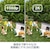 Amazon�b���O�����h�ƃJ�����i�u���b�N�j�bB0D4SSLTZT