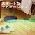 iRobot�b���{�b�g�|���@ (��)�b����MINI(��)