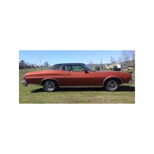 �m���u�b1/43 �t�H�[�h �O�����g���m 1974 �`�F�X�i�b�g�u���E���y270587�z�b���� 270587 ̫��� ������� 1974 ��׳�