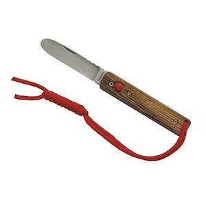 baladeo(�o���f�I)�bPapagayo KID�bBD-0340