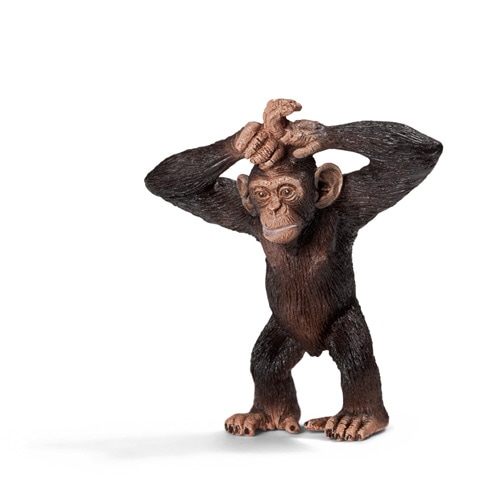 チンパンジー Schleich チンパンジー（仔） | シュライヒ | 14680チンパンジ